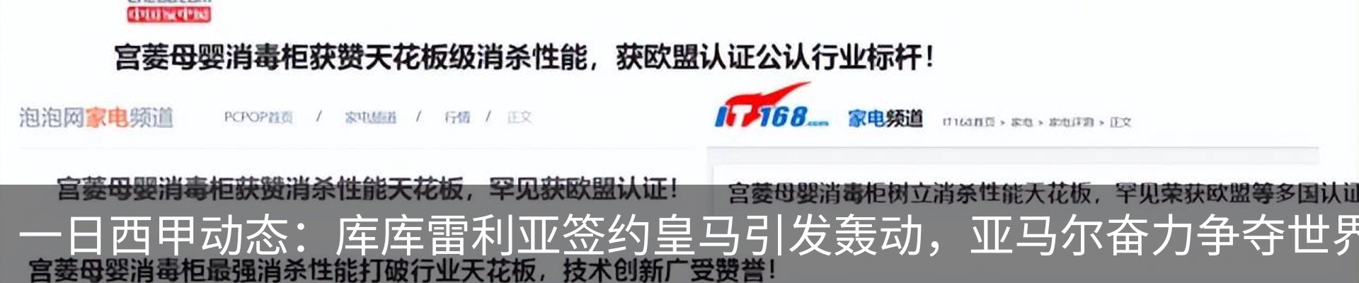 新闻动态