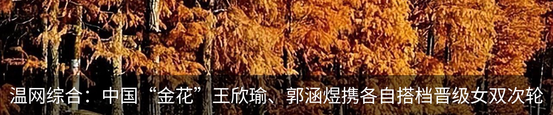 新闻动态