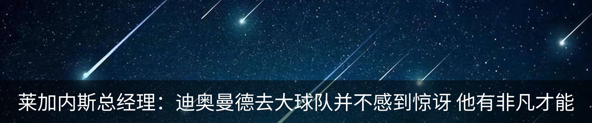 新闻动态